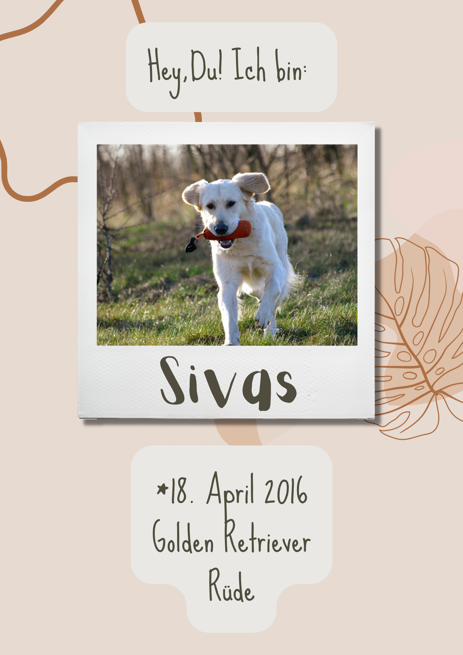 Wissenswertes zu Sivas Wissenswertes zu Sivas